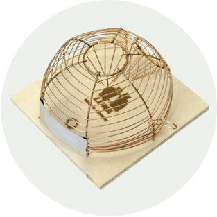 categorie muizenvallen